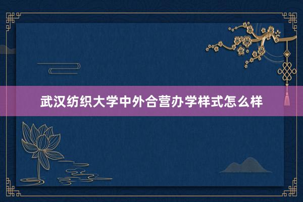 武汉纺织大学中外合营办学样式怎么样